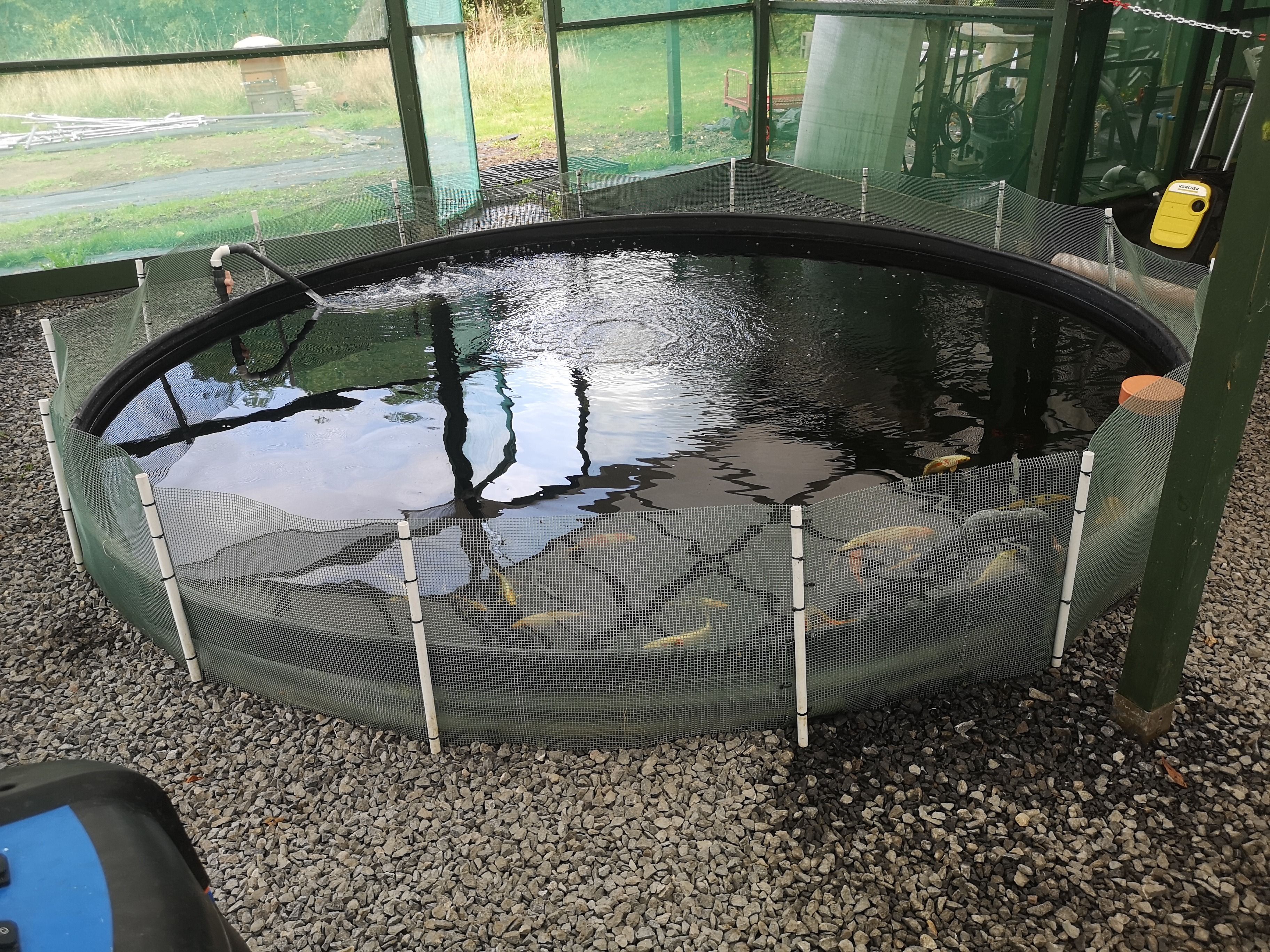 Aquaponics 11
