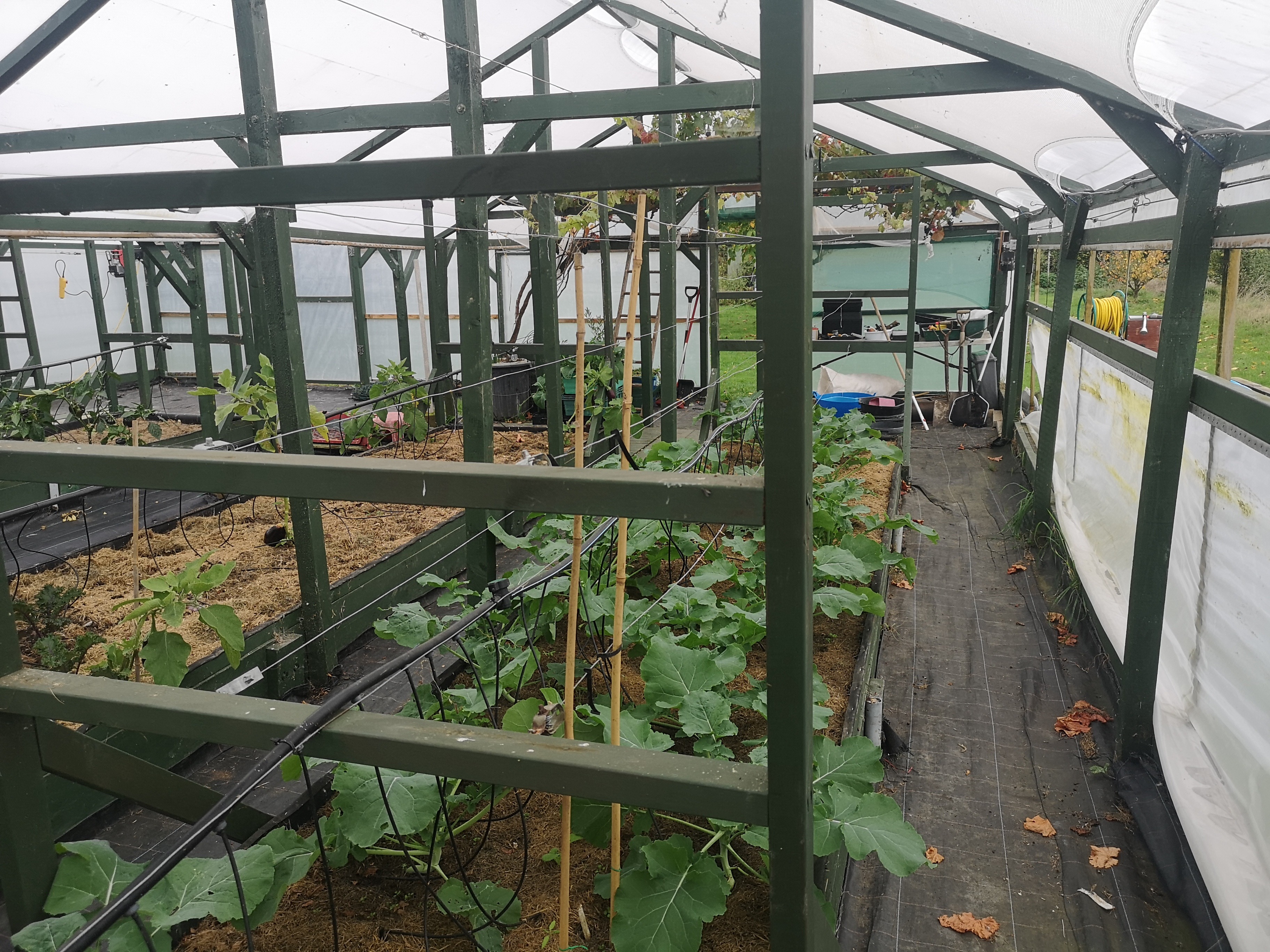 Aquaponics 3