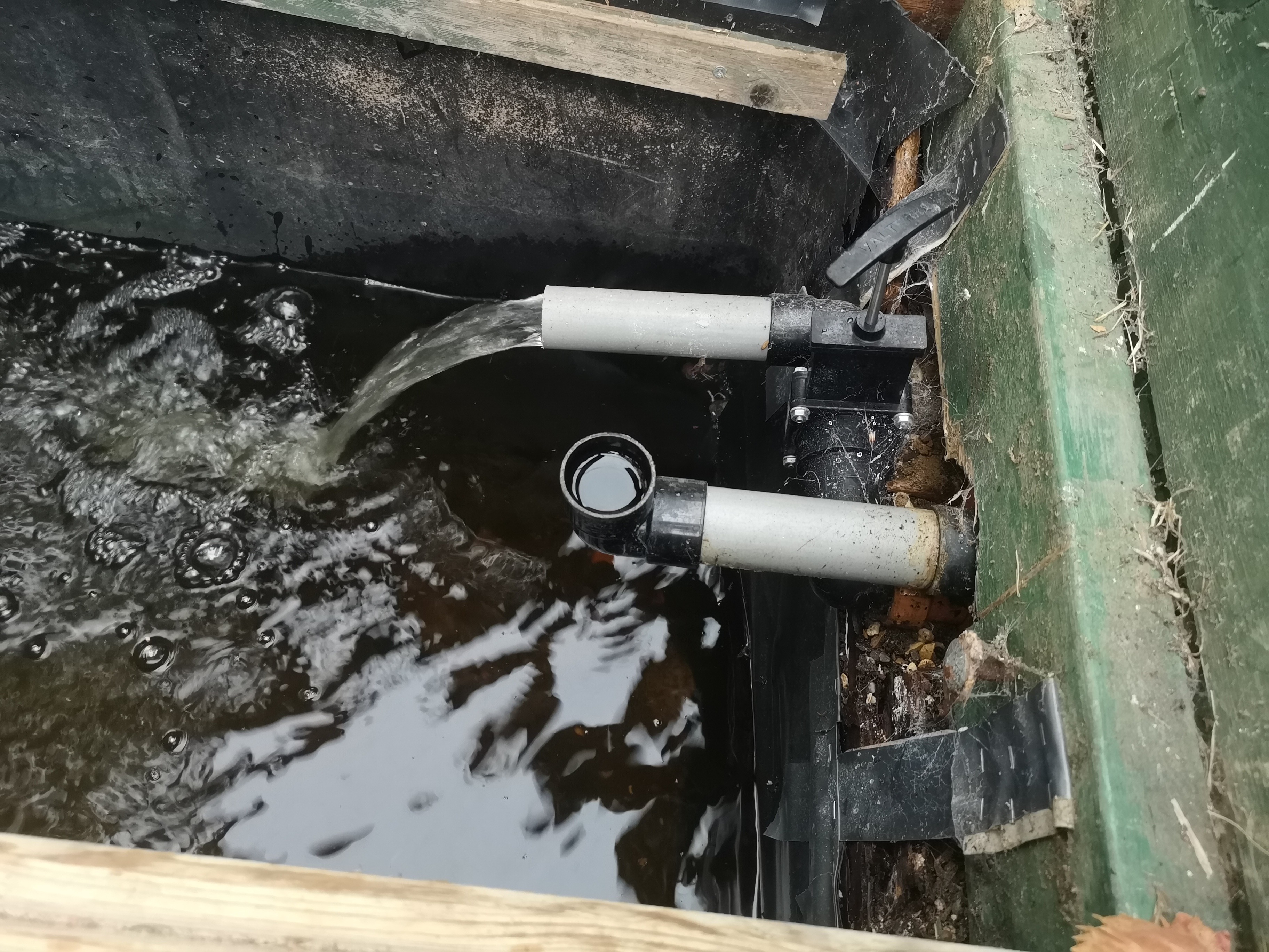 Aquaponics 8