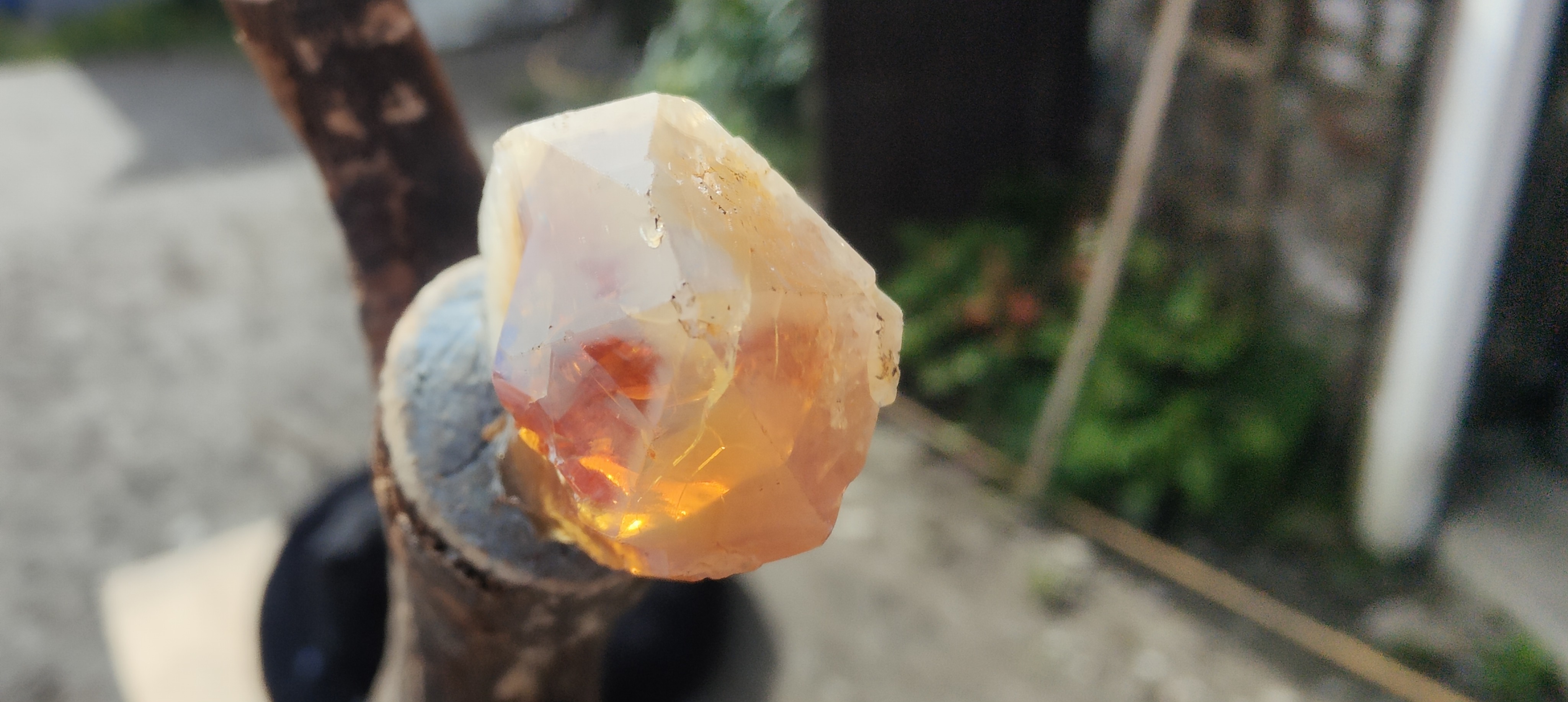 Crystal Wizard Sticks 4