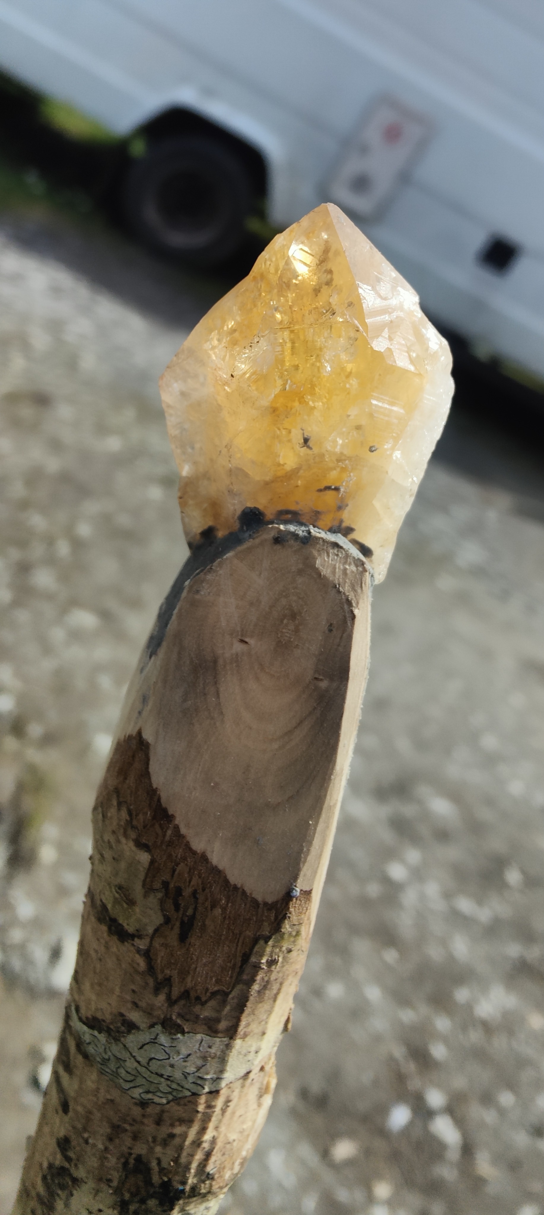 Crystal Wizard Sticks 5