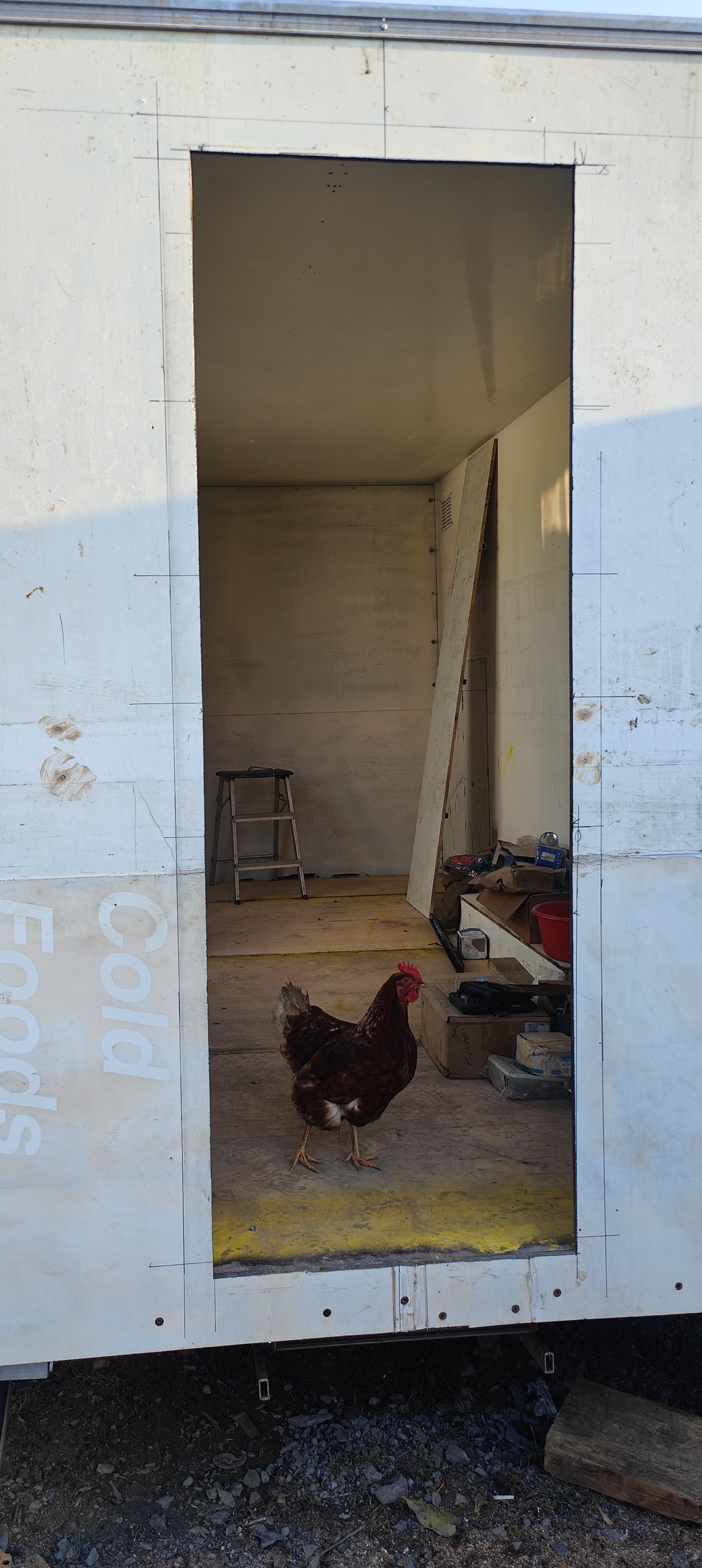 Food Trailer Refurbishment 5