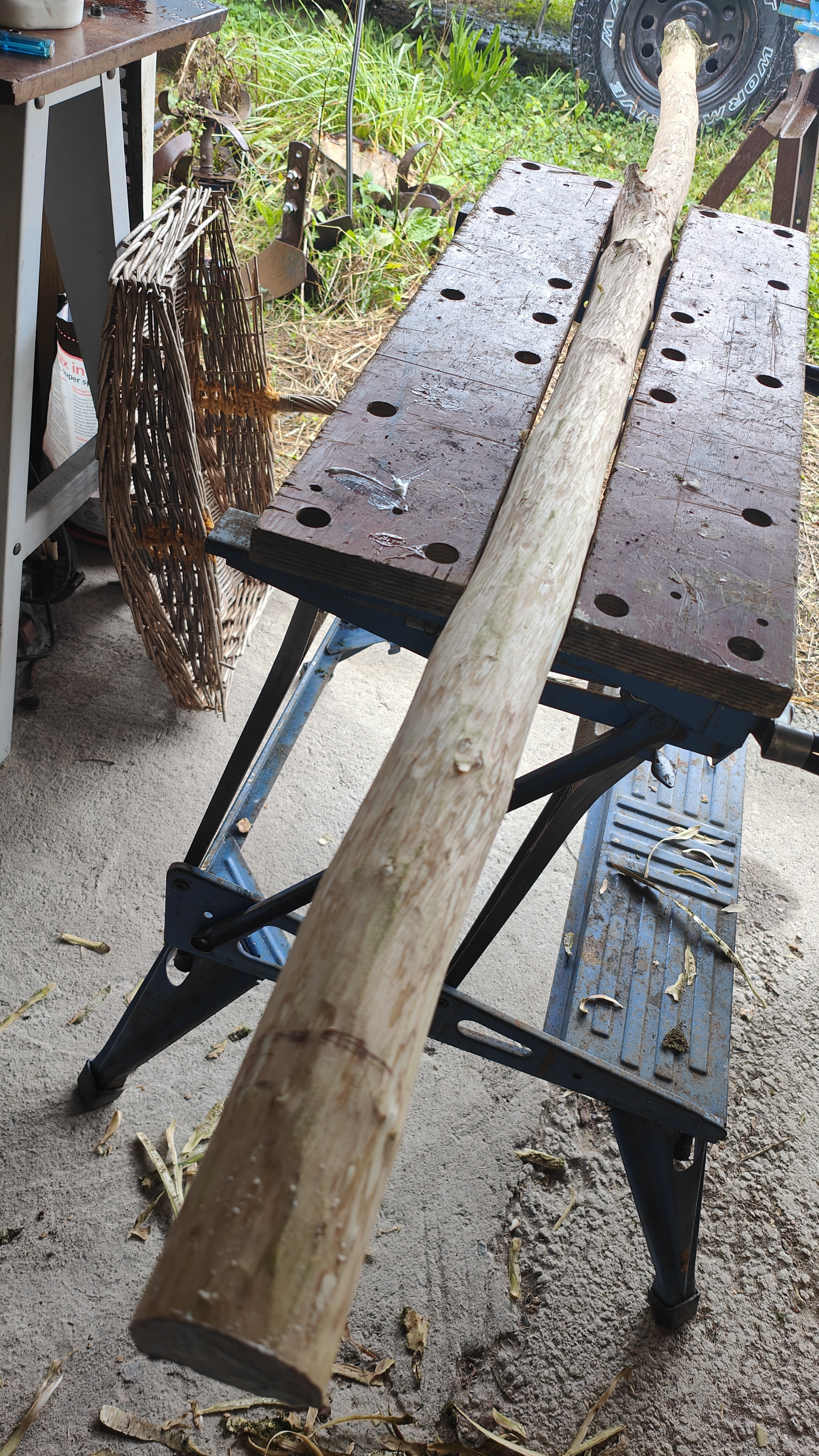 Yew Longbow 1