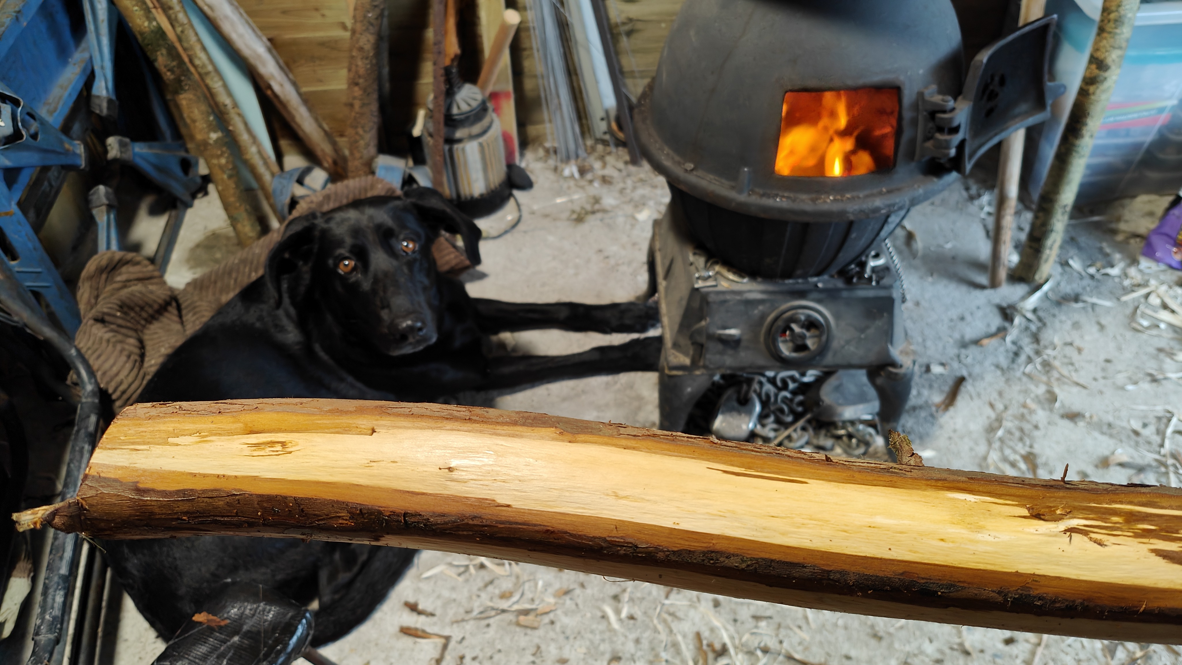 Yew Longbow 9