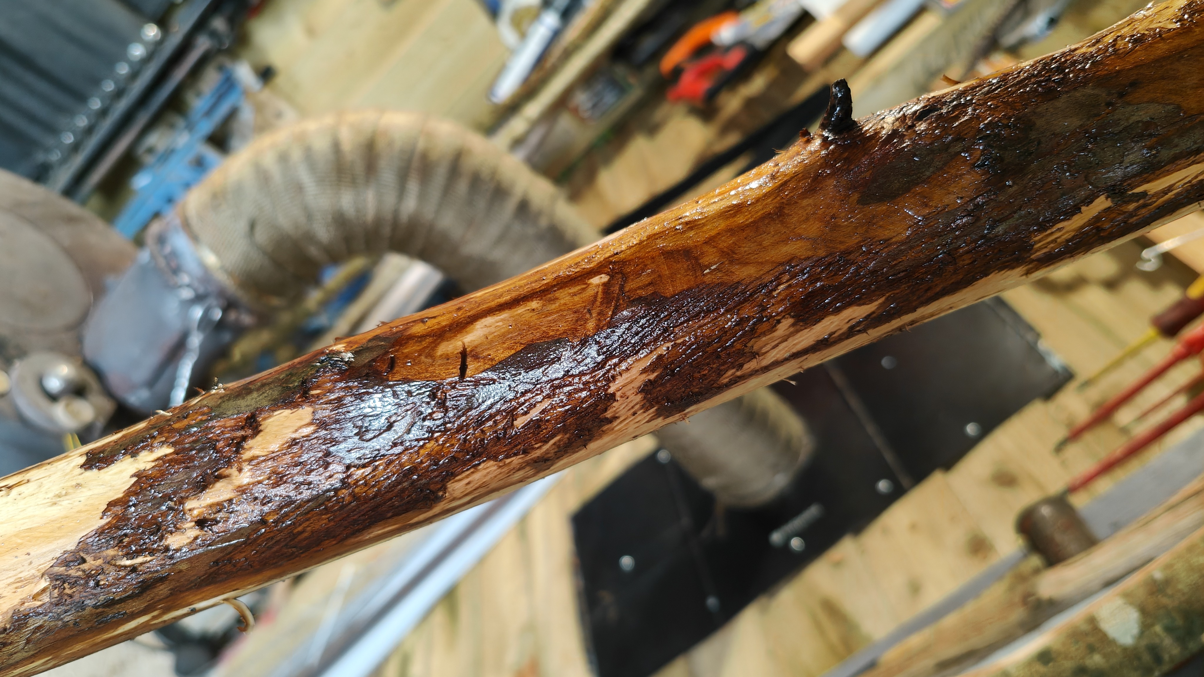Yew Longbow